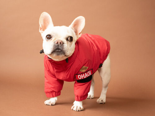 CRUSH COAT【RED】 - 画像 (7)