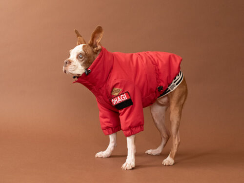 CRUSH COAT【RED】 - 画像 (10)