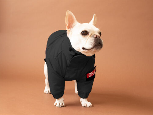 CRUSH COAT【BLK】 - 画像 (2)