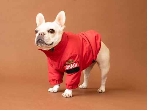 CRUSH COAT【RED】 - 画像 (9)