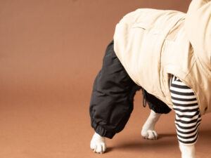 Transform COAT Pants【BLK】