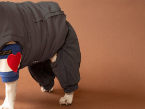 Transform COAT Pants【CCL】