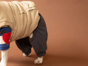 Transform COAT Pants【CCL】