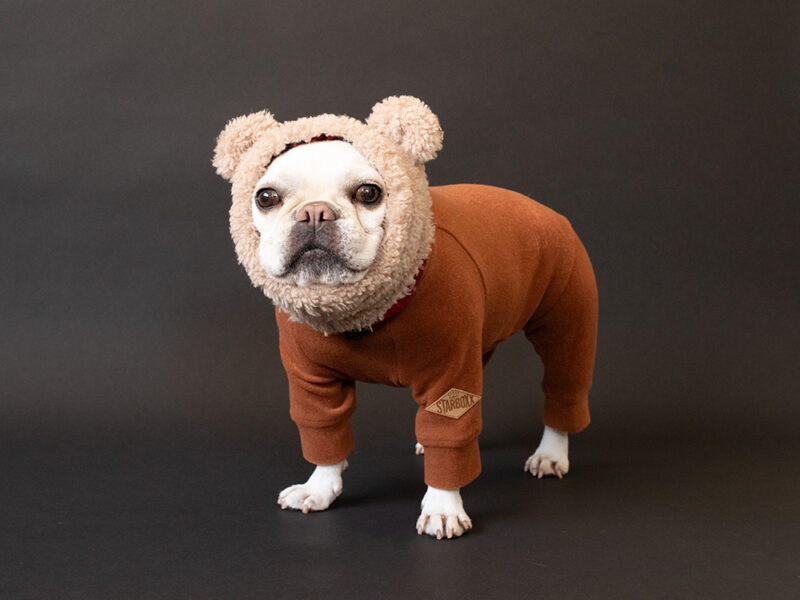 HUGWARM suit premium - 画像 (19)