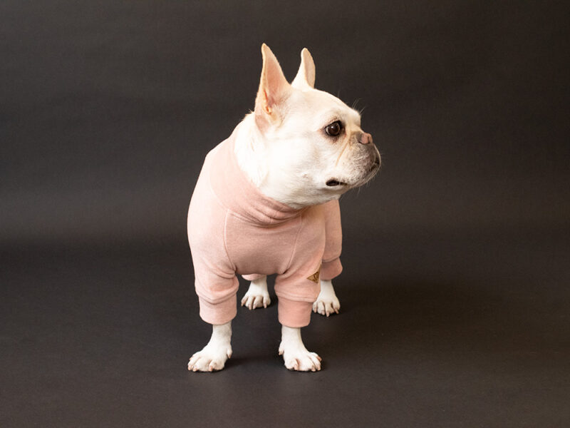 HUGWARM suit premium - 画像 (8)