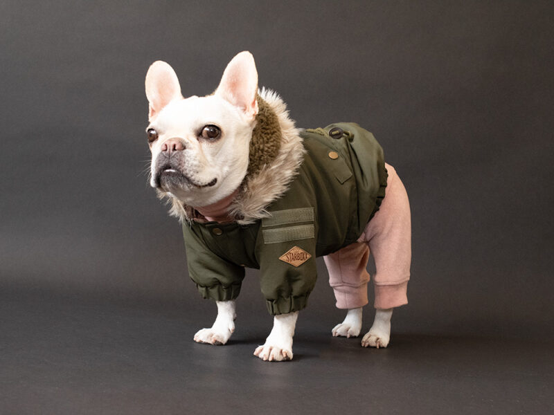 HUGWARM suit premium - 画像 (11)