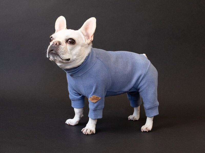 HUGWARM suit premium