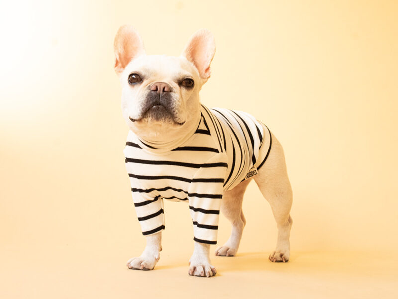 【新色追加】HUGWARM