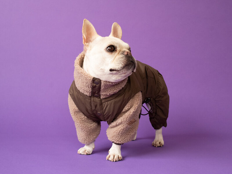 Leyard look SNOW SUIT