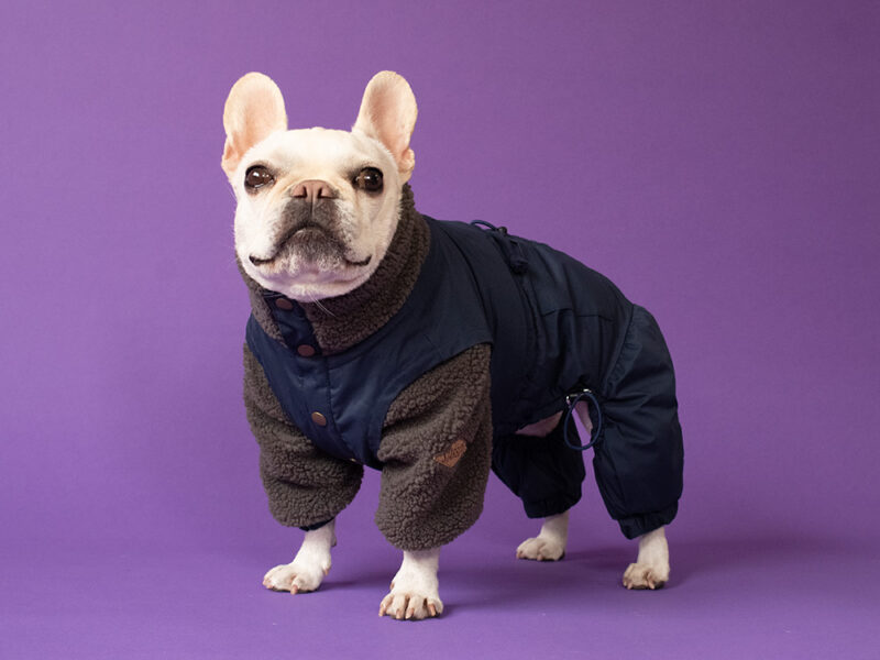 Leyard look SNOW SUIT