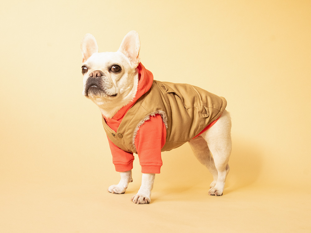 Core Hoodie - 画像 (2)