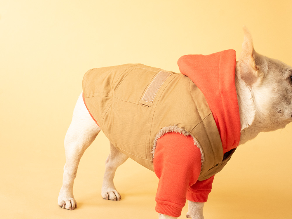 Core Hoodie - 画像 (4)