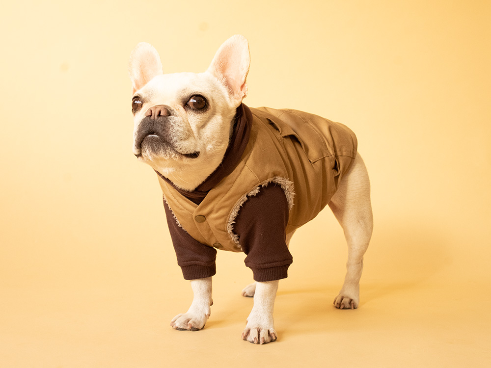 Core Hoodie - 画像 (5)