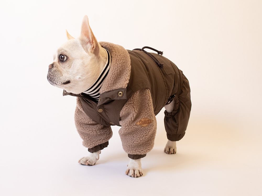 FULL WINTER READY - 画像 (3)