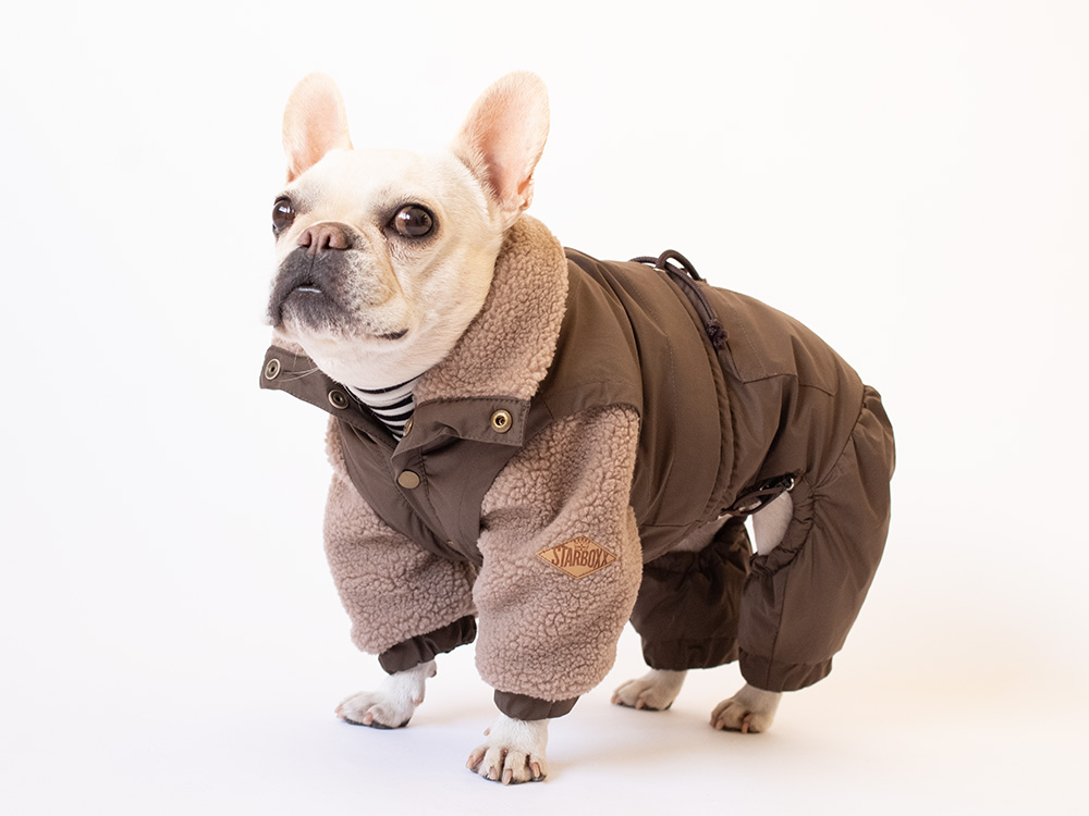 FULL WINTER READY - 画像 (4)