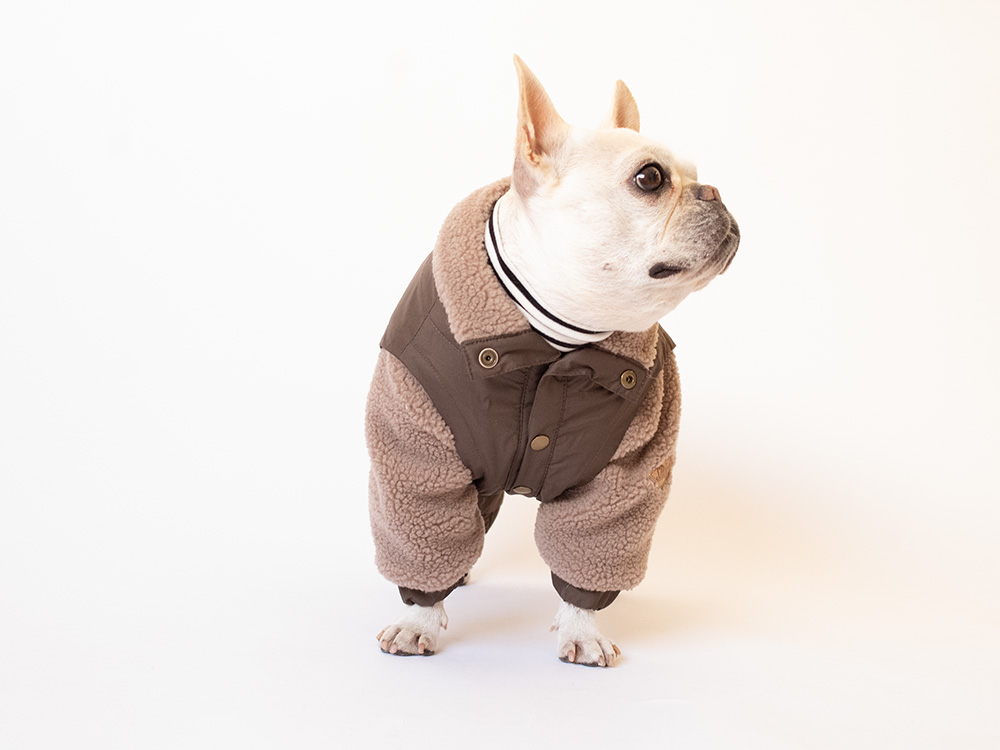 FULL WINTER READY - 画像 (5)