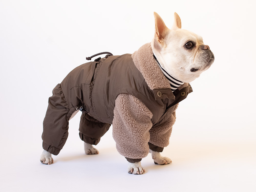 FULL WINTER READY - 画像 (6)