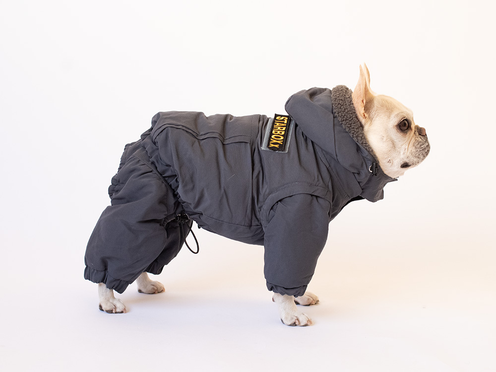 TRANSFORM SETUP - 画像 (3)