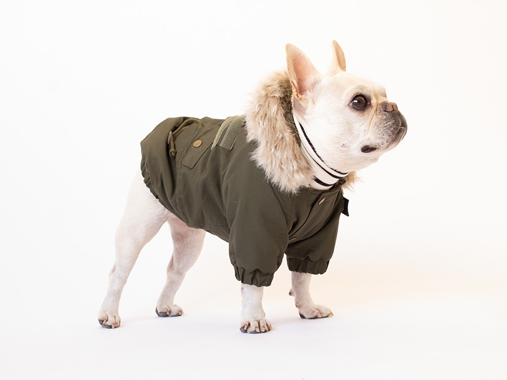 THE STANDARD WARM - 画像 (3)