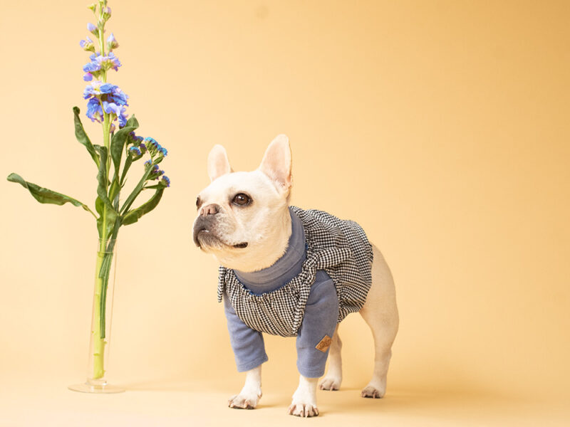 GATHER RIBBON PULLOVER