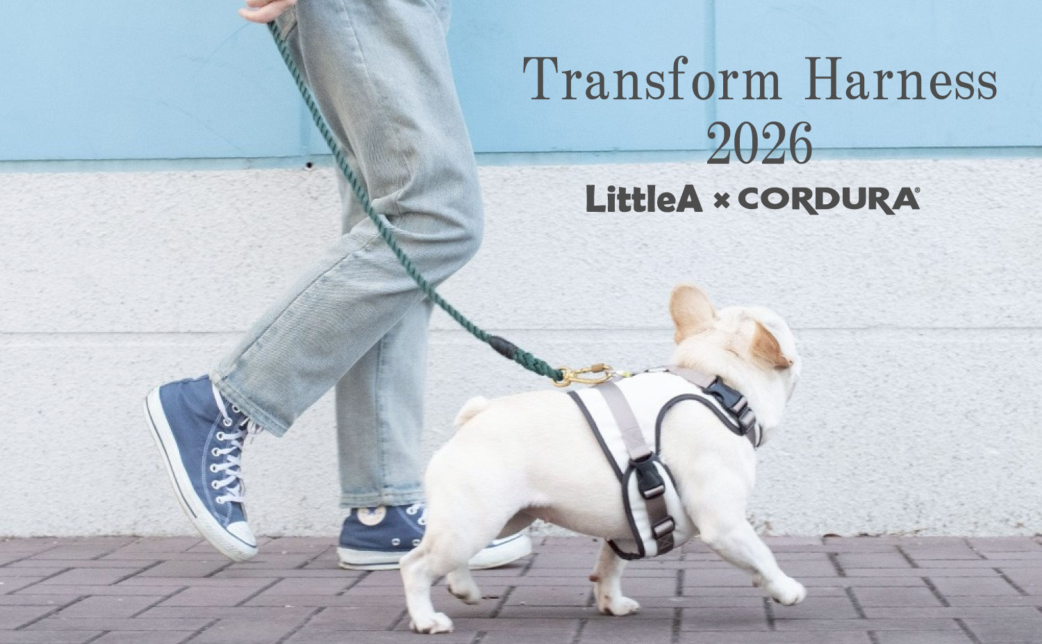 transform_harness_banner