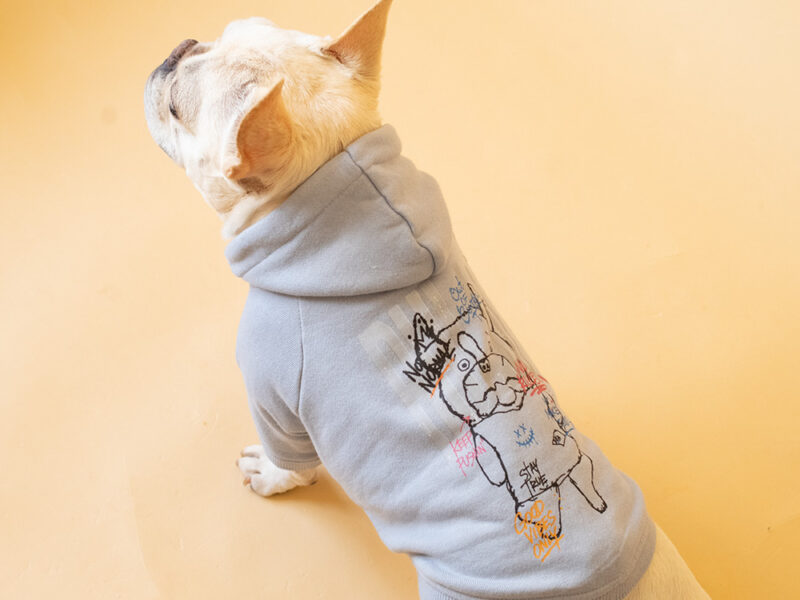 BULLO. For DOG.