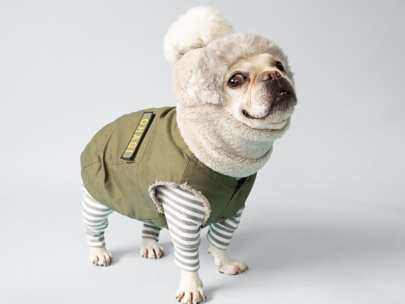 FIELD SUPPLY VEST