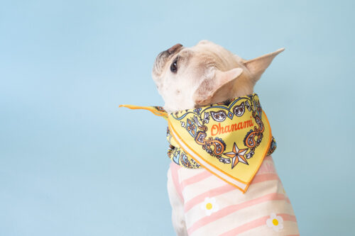 BANDANA SNOOD【YEW】 - 画像 (3)