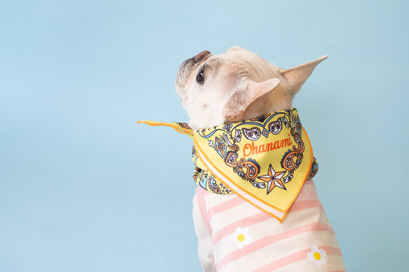BANDANA SNOOD【YEW】 - 画像 (3)