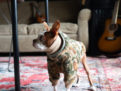 Layering BOA Parka【Flower BEG】 - 画像 (4)