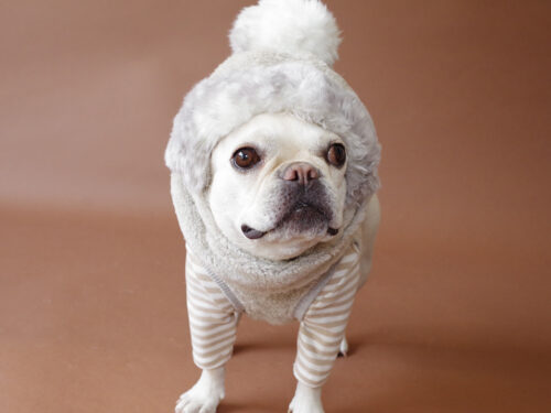 SNOWMAN CAP【GRY】