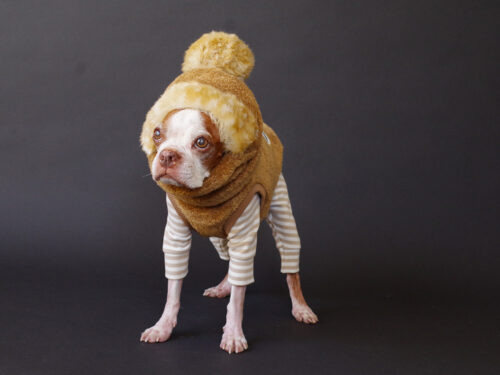 SNOWMAN VEST【BRN】 - 画像 (4)