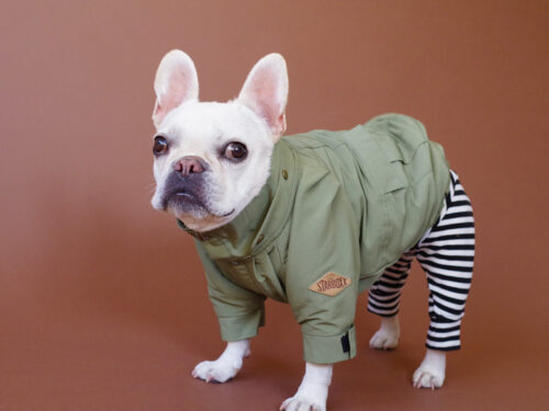 Flight Cap COAT【LIGHT KHAKI】 - 画像 (6)