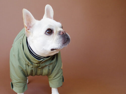 Flight Cap COAT【LIGHT KHAKI】 - 画像 (4)