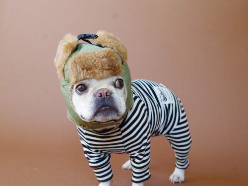 Flight Cap COAT【LIGHT KHAKI】 - 画像 (8)