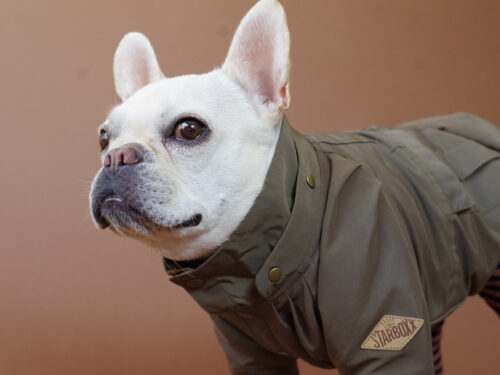 Flight Cap COAT【OLIVE】 - 画像 (8)