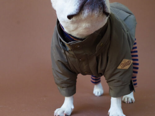 Flight Cap COAT【OLIVE】 - 画像 (9)