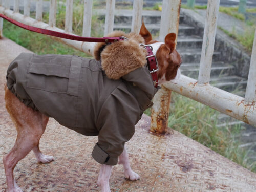 Flight Cap COAT【OLIVE】 - 画像 (3)