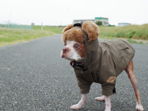 Flight Cap COAT【OLIVE】