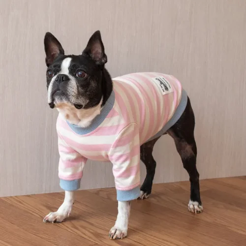 配色ボーダーTEE【BABY PINK】 - 画像 (2)