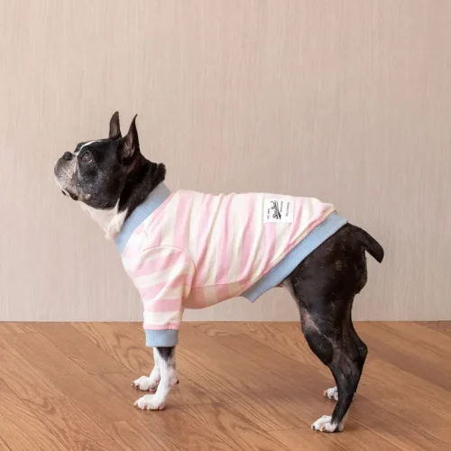 配色ボーダーTEE【BABY PINK】 - 画像 (3)