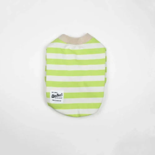 配色ボーダーTEE【PISTACHIO】