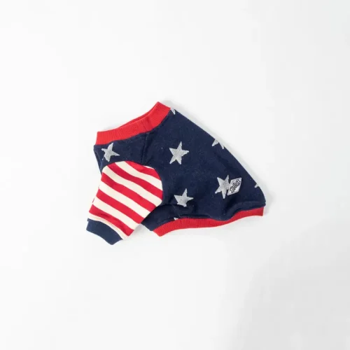 ヴィンテージアメリカンTEE